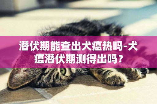 潛伏期能查出犬瘟熱嗎-犬瘟潛伏期測得出嗎？