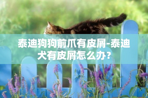 泰迪狗狗前爪有皮屑-泰迪犬有皮屑怎么辦？