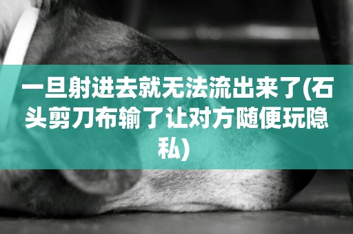 一旦射進去就無法流出來了(石頭剪刀布輸了讓對方隨便玩隱私) 