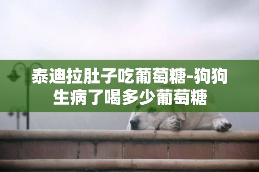 泰迪拉肚子吃葡萄糖-狗狗生病了喝多少葡萄糖