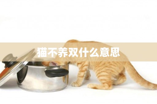 貓不養雙什么意思