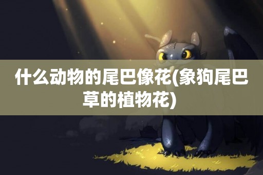 什么動物的尾巴像花(象狗尾巴草的植物花) 