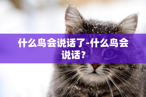 什么鳥會說話了-什么鳥會說話？