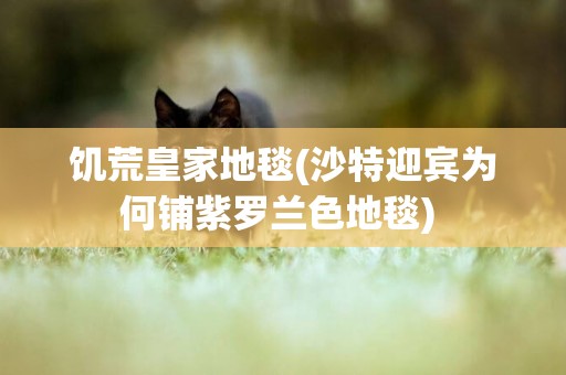 饑荒皇家地毯(沙特迎賓為何鋪紫羅蘭色地毯) 