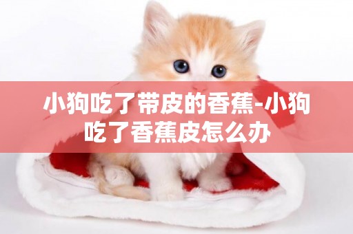 小狗吃了帶皮的香蕉-小狗吃了香蕉皮怎么辦