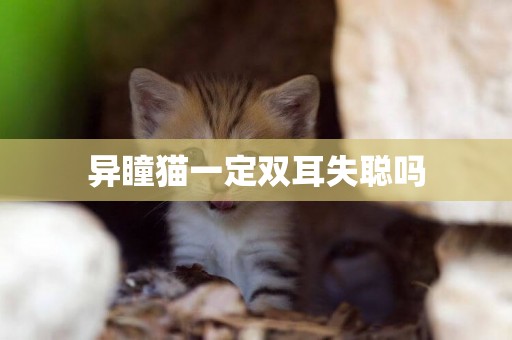 異瞳貓一定雙耳失聰嗎
