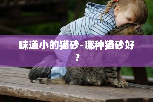 味道小的貓砂-哪種貓砂好？