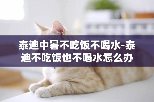 泰迪中暑不吃飯不喝水-泰迪不吃飯也不喝水怎么辦