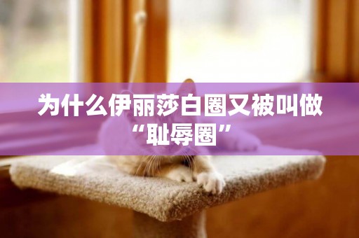 為什么伊麗莎白圈又被叫做“恥辱圈” 