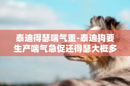 泰迪得瑟喘氣重-泰迪狗要生產喘氣急促還得瑟大概多久能生