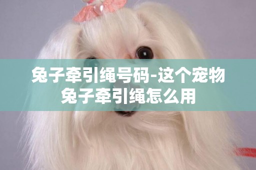 兔子牽引繩號碼-這個寵物兔子牽引繩怎么用