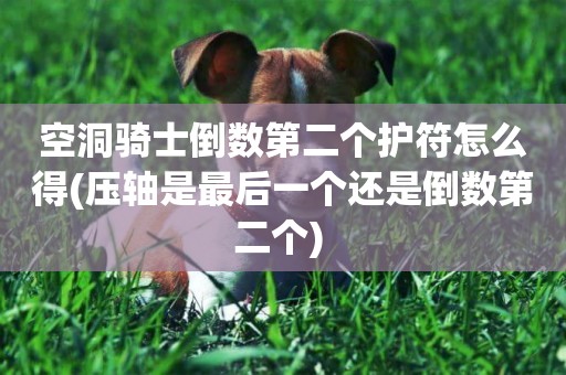 空洞騎士倒數第二個護符怎么得(壓軸是最后一個還是倒數第二個) 
