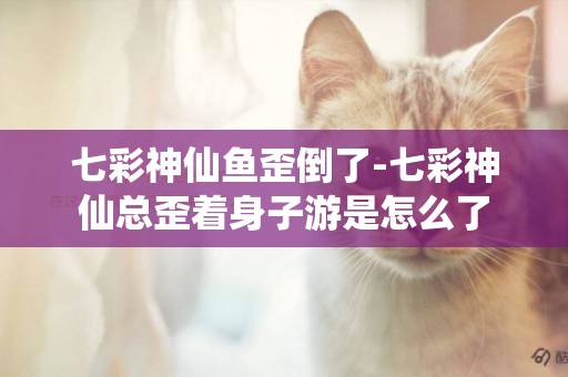 七彩神仙魚歪倒了-七彩神仙總歪著身子游是怎么了
