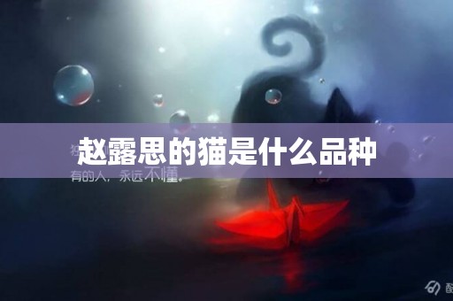 趙露思的貓是什么品種