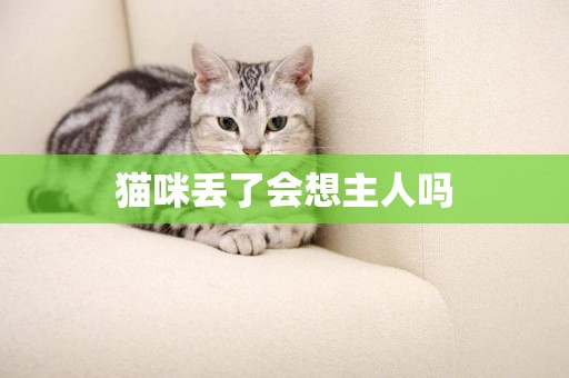 貓咪丟了會想主人嗎