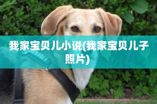 我家寶貝兒小說(我家寶貝兒子照片) 