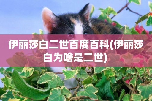 伊麗莎白二世百度百科(伊麗莎白為啥是二世) 