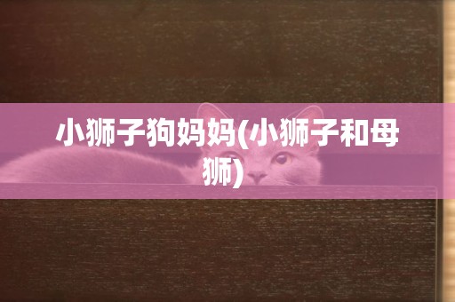 小獅子狗媽媽(小獅子和母獅) 
