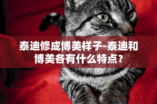 泰迪修成博美樣子-泰迪和博美各有什么特點？