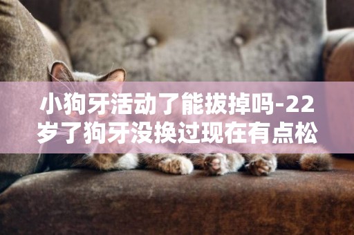 小狗牙活動了能拔掉嗎-22歲了狗牙沒換過現在有點松動能拔嗎