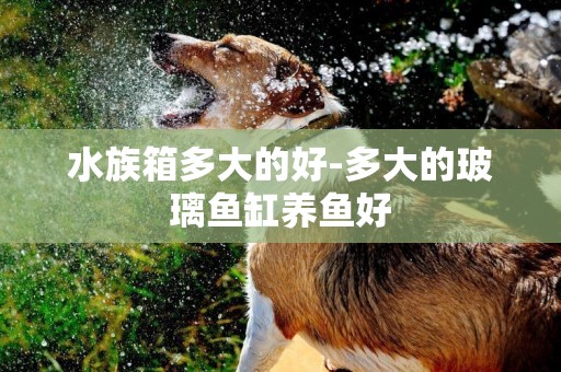 水族箱多大的好-多大的玻璃魚缸養魚好