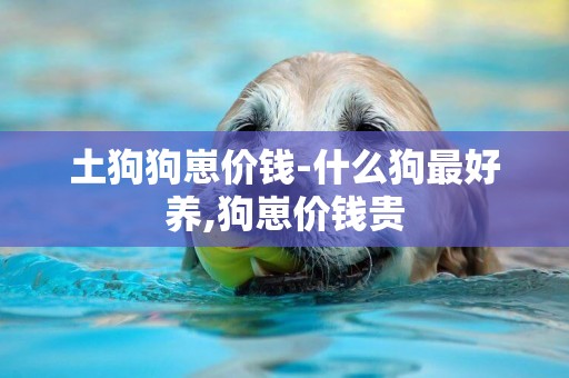 土狗狗崽價錢-什么狗最好養,狗崽價錢貴