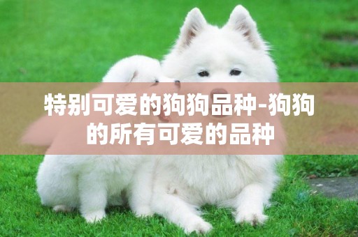特別可愛的狗狗品種-狗狗的所有可愛的品種