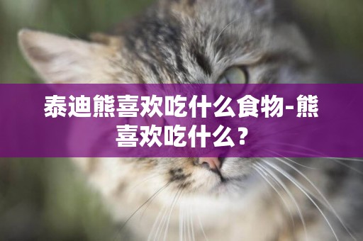 泰迪熊喜歡吃什么食物-熊喜歡吃什么？