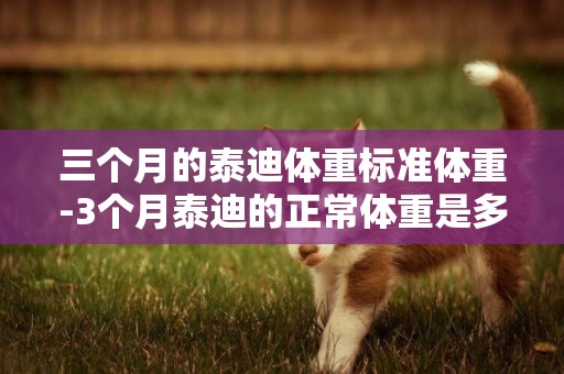 三個月的泰迪體重標準體重-3個月泰迪的正常體重是多少