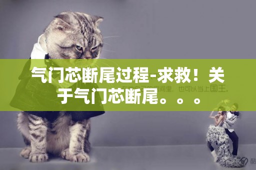 氣門芯斷尾過程-求救！關于氣門芯斷尾。。。