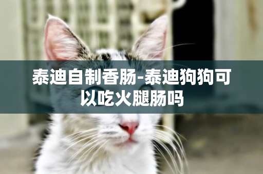 泰迪自制香腸-泰迪狗狗可以吃火腿腸嗎