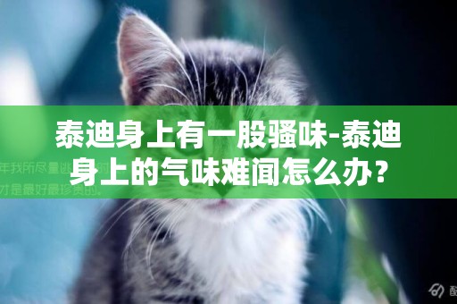 泰迪身上有一股騷味-泰迪身上的氣味難聞怎么辦？