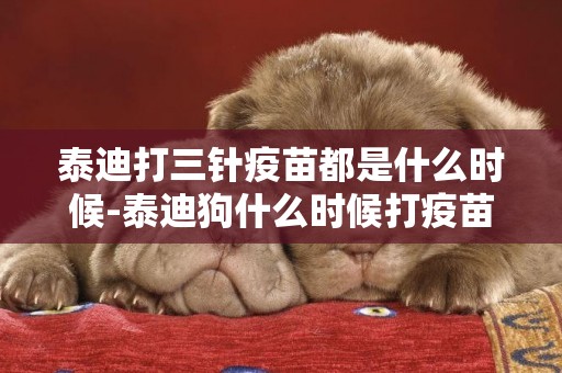 泰迪打三針疫苗都是什么時候-泰迪狗什么時候打疫苗