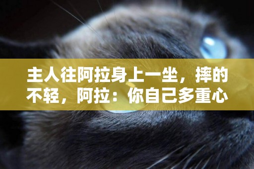 主人往阿拉身上一坐，摔的不輕，阿拉：你自己多重心里沒點數？ 