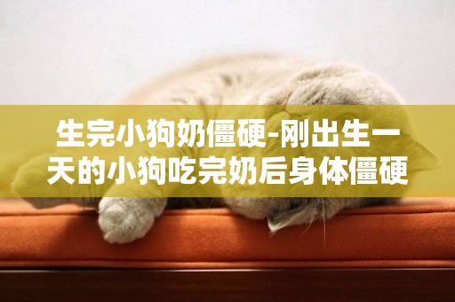 生完小狗奶僵硬-剛出生一天的小狗吃完奶后身體僵硬，渾身發冷