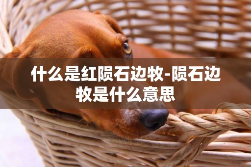 什么是紅隕石邊牧-隕石邊牧是什么意思