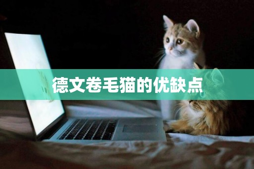 德文卷毛貓的優缺點