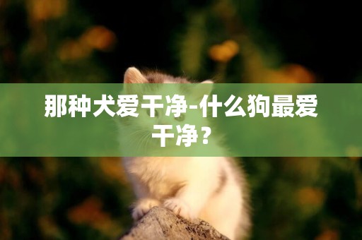 那種犬愛干凈-什么狗最愛干凈？