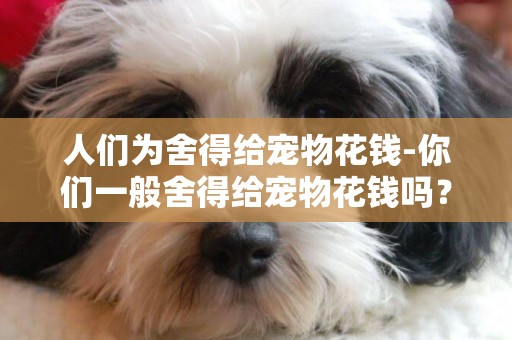 人們為舍得給寵物花錢-你們一般舍得給寵物花錢嗎？