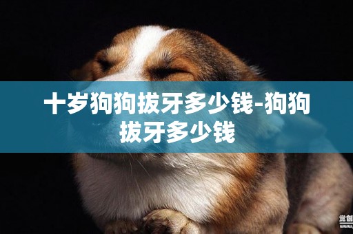 十歲狗狗拔牙多少錢-狗狗拔牙多少錢