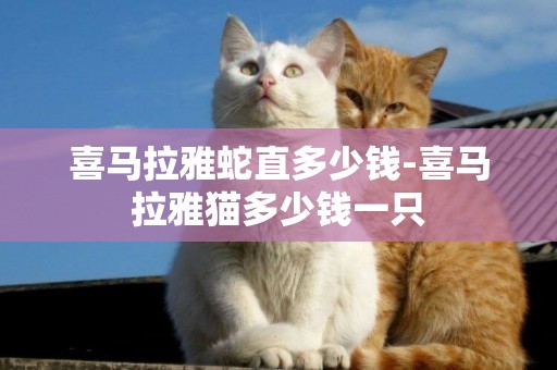喜馬拉雅蛇直多少錢-喜馬拉雅貓多少錢一只