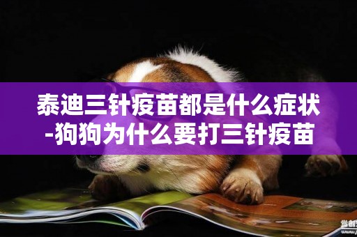 泰迪三針疫苗都是什么癥狀-狗狗為什么要打三針疫苗