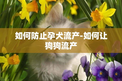 如何防止孕犬流產-如何讓狗狗流產
