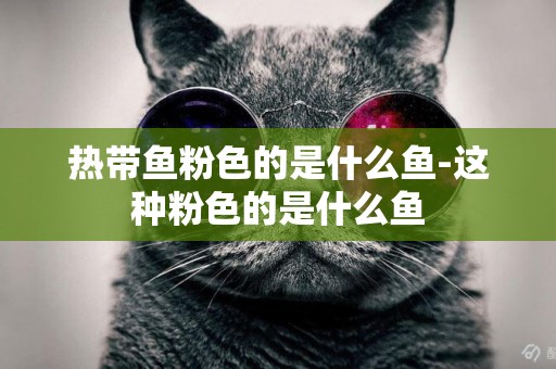 熱帶魚粉色的是什么魚-這種粉色的是什么魚