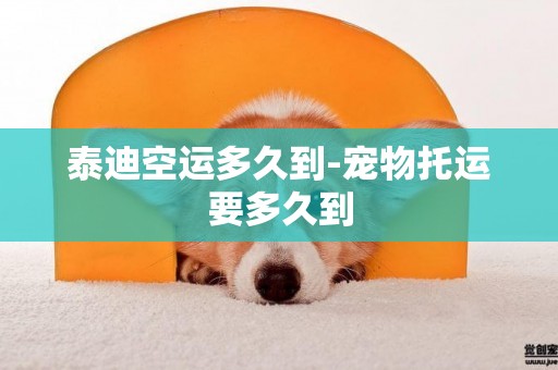 泰迪空運多久到-寵物托運要多久到
