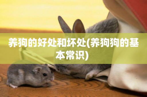 養狗的好處和壞處(養狗狗的基本常識) 
