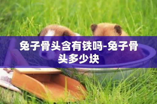 兔子骨頭含有鐵嗎-兔子骨頭多少塊