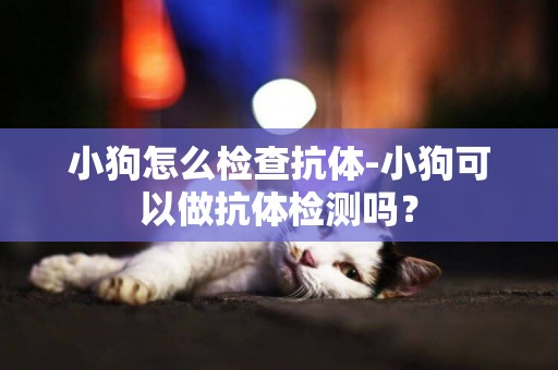 小狗怎么檢查抗體-小狗可以做抗體檢測嗎？
