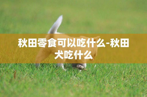 秋田零食可以吃什么-秋田犬吃什么