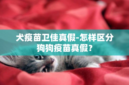 犬疫苗衛佳真假-怎樣區分狗狗疫苗真假？